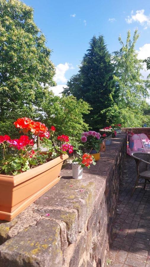 Privat Appartment Fockelberg Eksteriør billede